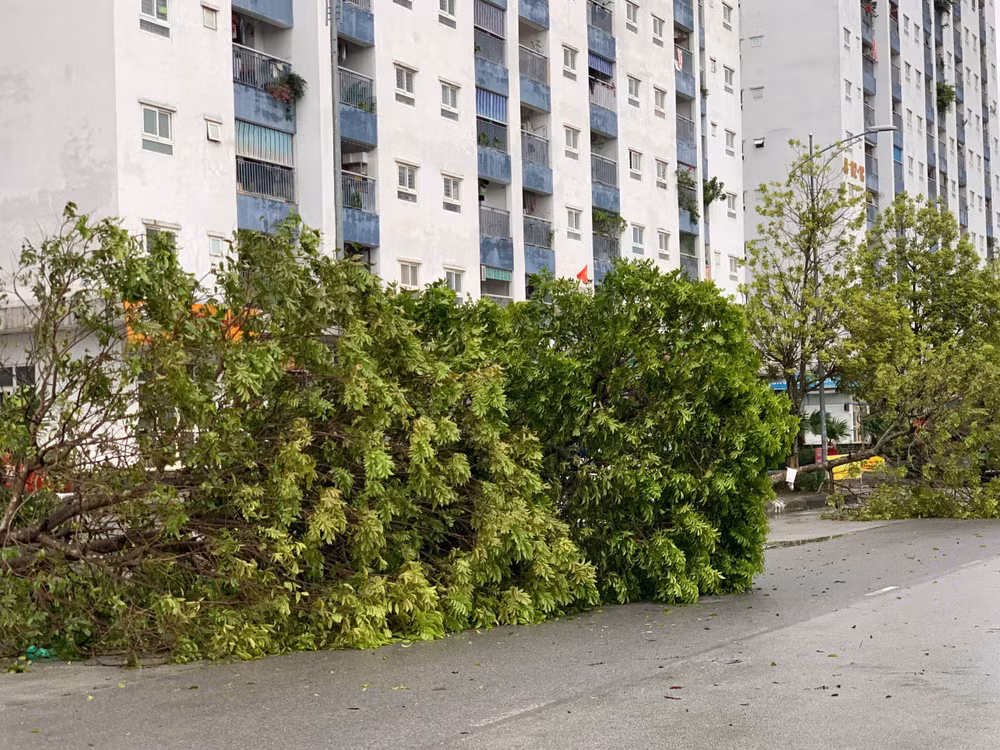 Khẩn trương khắc phục hậu quả, cứu người mắc kẹt, mất tích trong bão số 3 ảnh 9