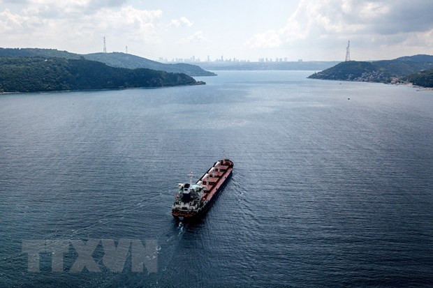 Tàu chở ngũ cốc của Ukraine di chuyển tại Eo biển Bosphorus ở Istanbul, Thổ Nhĩ Kỳ, ngày 7/8/2022. (Ảnh: AFP/TTXVN)