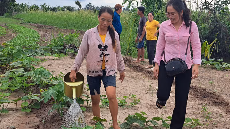 Mô hình trồng rau màu của gia đình chị Thị Trúc Linh (bên trái).