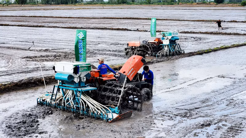 Mô hình thí điểm sản xuất lúa chất lượng cao, phát thải thấp chính thức khởi động ở Kiên Giang.