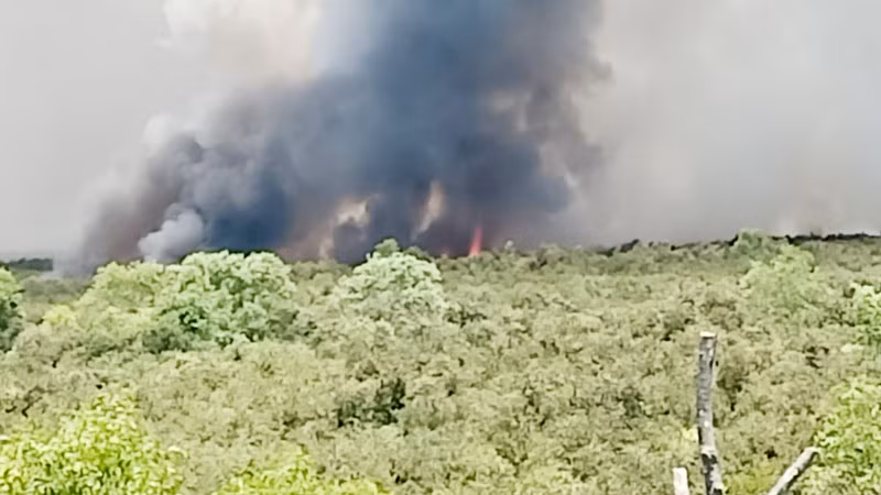 Do thời tiết nắng nóng, lớp than bùn còn âm ỉ và gió lớn khiến lửa cháy lại và lan ra các khu vực chung quanh.