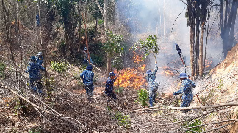 Cán bộ, chiến sĩ Tiểu đoàn 553, Bộ Tư lệnh Vùng 5 Hải quân tham gia chữa cháy rừng.