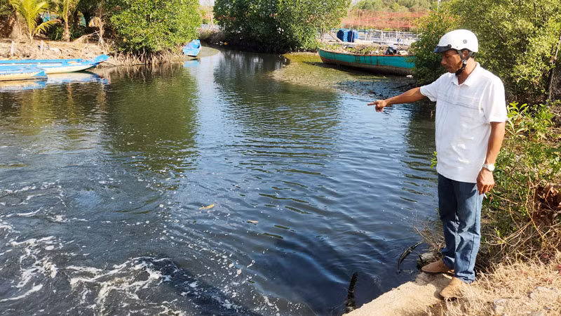 Nguồn nước ô nhiễm xả thải trực tiếp ra môi trường bờ biển. 