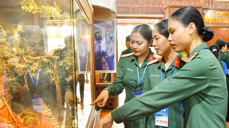 Các đơn vị tìm hiểu về Khu di tích Lịch sử-Văn hóa mộ và đình Nguyễn Trung Trực.