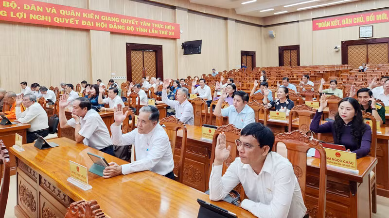 Đại biểu biểu quyết thông qua nghị quyết. 