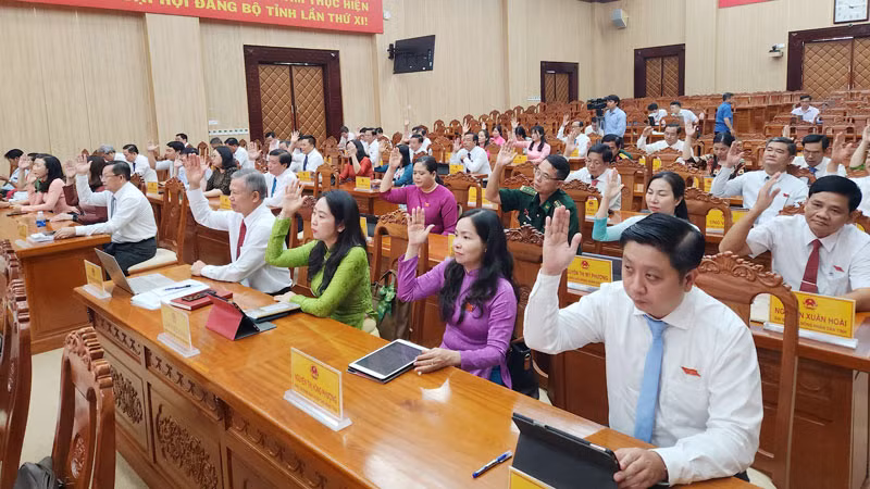 Các đại biểu biểu quyết thông qua nghị quyết.