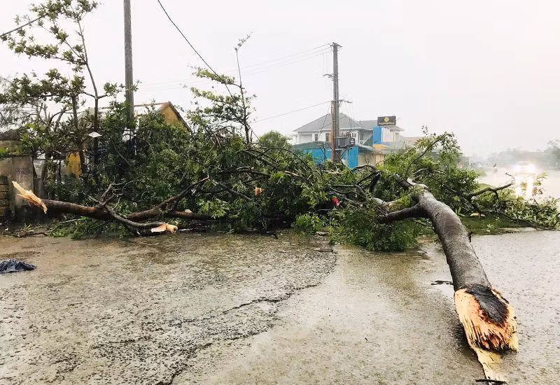 Lốc xoáy trước bão làm gãy đổ cây xanh khu vực chợ thị trấn Cửa Việt, huyện Gio Linh.