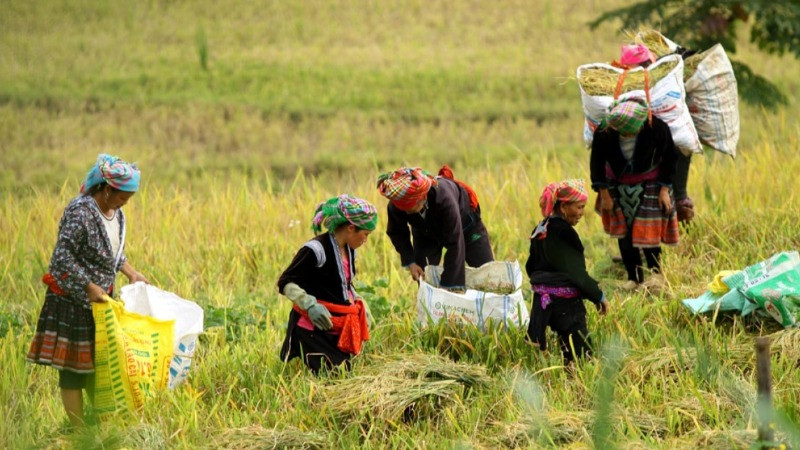 Ảnh minh họa. (Nguồn: Báo Đại đoàn kết)