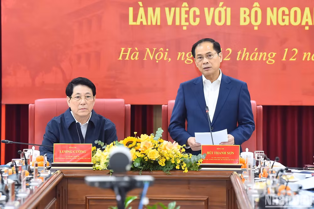 Phó Thủ tướng, Bộ trưởng Ngoại giao Bùi Thanh Sơn phát biểu tại buổi làm việc.