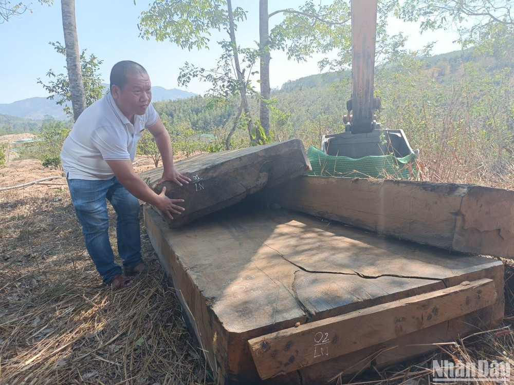 Nhiều phản gỗ có kích thước lớn được tìm thấy tại điểm tập kết đầu tiên.