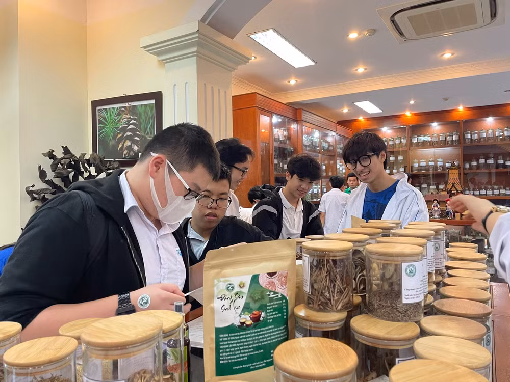 Học sinh tham quan Bảo tàng Dược liệu Việt Nam.