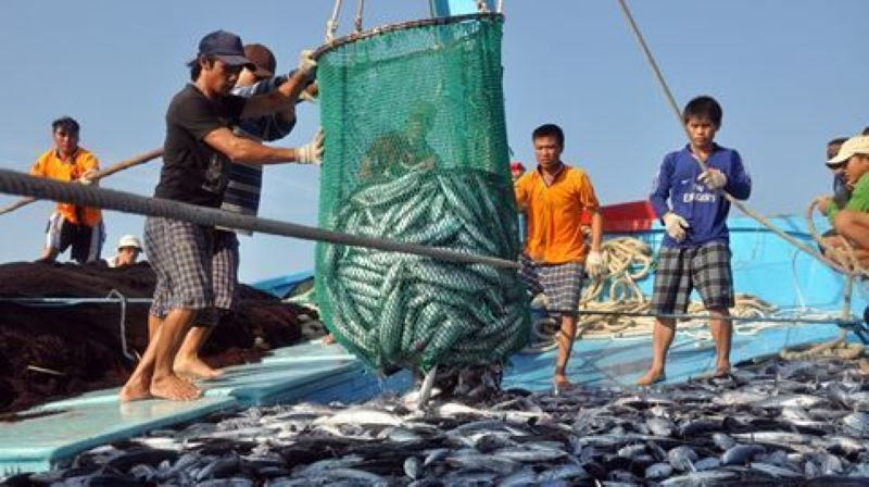Từ ngày 10-18/10/2023, Đoàn thanh tra EC lần 4 sẽ sang Việt Nam kiểm tra kết quả triển khai các khuyến nghị của Ủy ban châu Âu (EC) về chống khai thác IUU.