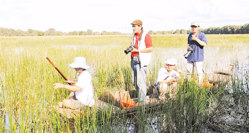 Du lịch sinh thái khu vực Vườn Quốc gia Tràm Chim hấp dẫn du khách.