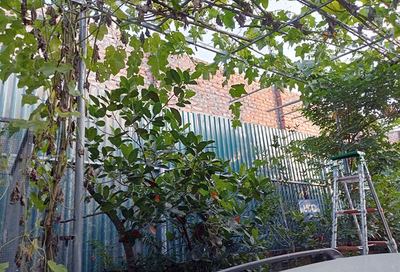 Một công trình tự ý xây dựng lấn chiếm trên diện tích đất lâm nghiệp.