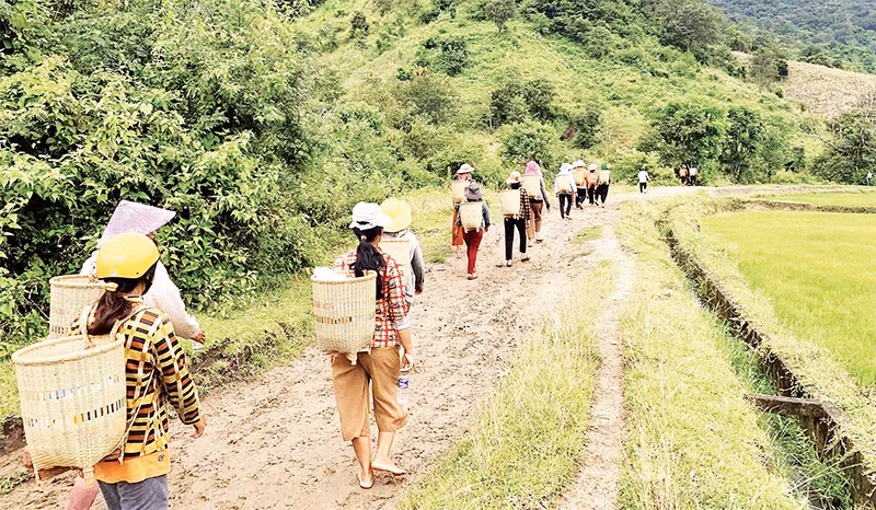 Chiếc gùi luôn gắn bó với đồng bào các dân tộc thiểu số ở Tây Nguyên.