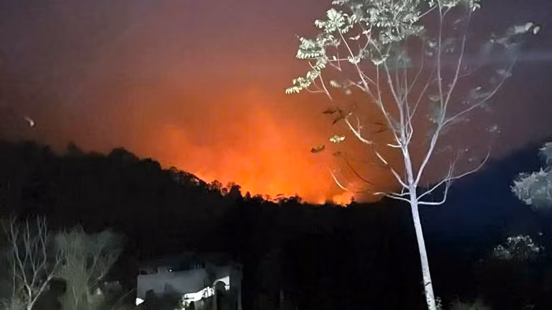 Đám cháy khởi phát từ địa bàn tỉnh Thái Nguyên cháy lan sang khu vực núi Ông Mo ở xã Trung Yên, huyện Sơn Dương, tỉnh Tuyên Quang.