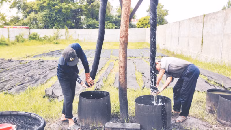 Thợ nhuộm đang vắt lụa lãnh Mỹ A. 