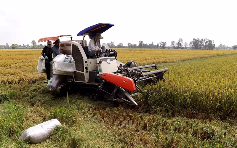 Bắt kịp xu hướng nông nghiệp hữu cơ