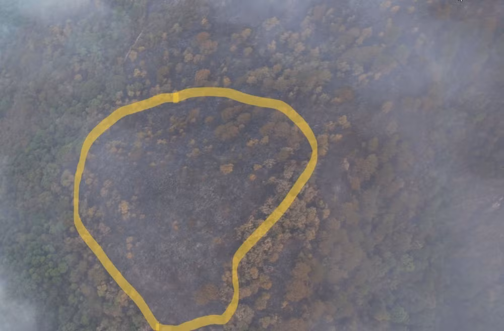 Trong vòng khoanh vàng là diện tích 0,97ha cây rừng bị thiệt hại hoàn toàn.