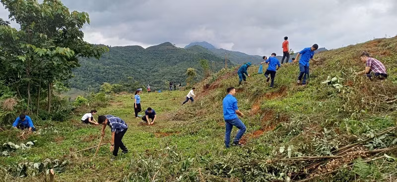 Đoàn viên thanh niên huyện Nậm Pồ cùng hộ nghèo bản Chế Nhù trồng cây thông.