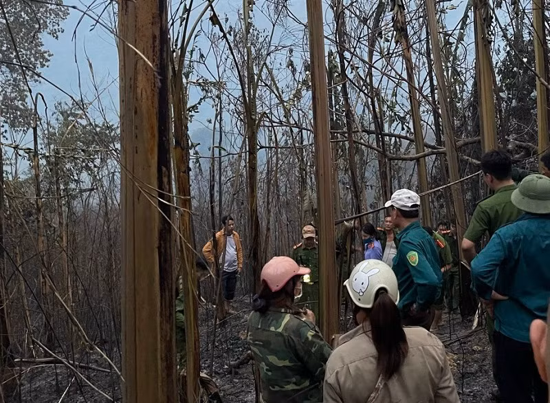 Hiện trường vụ cháy rừng tại thị trấn huyện Mường Chà, tỉnh Điện Biên.