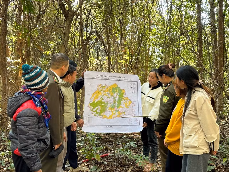 Bảo vệ tốt diện tích rừng hiện có là giải pháp được tỉnh Điện Biên ưu tiên thực hiện để khai thác lợi thế kinh tế rừng.