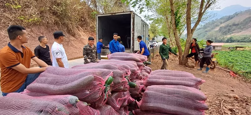 Điểm tập kết bí xanh tại xã Chà Nưa, huyện Nậm Pồ có rất đông đoàn viên, thanh niên hỗ trợ vận chuyển.