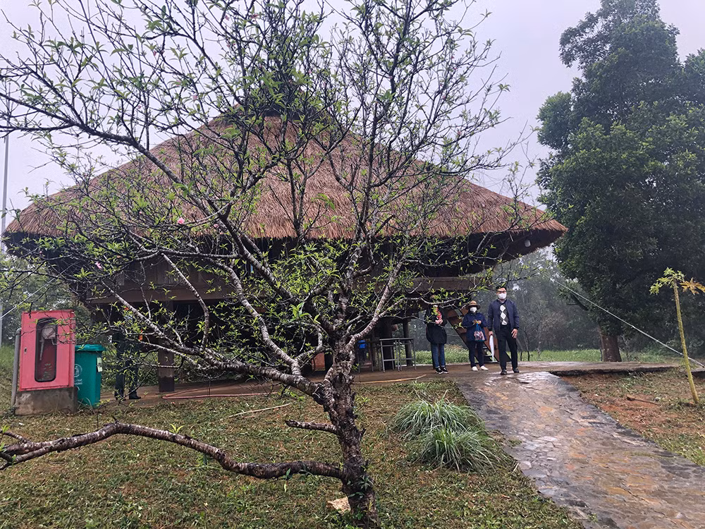 Du khách tham quan Làng trong dịp đầu năm.