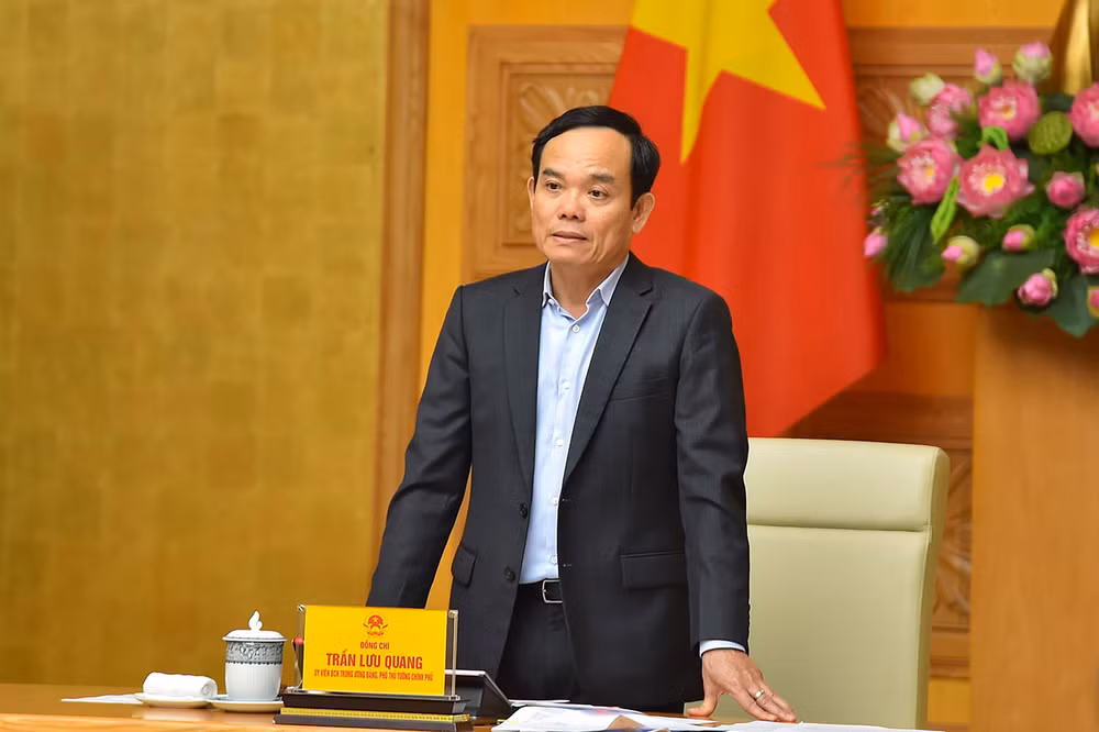 Phó Thủ tướng Trần Lưu Quang phát biểu tại phiên họp.