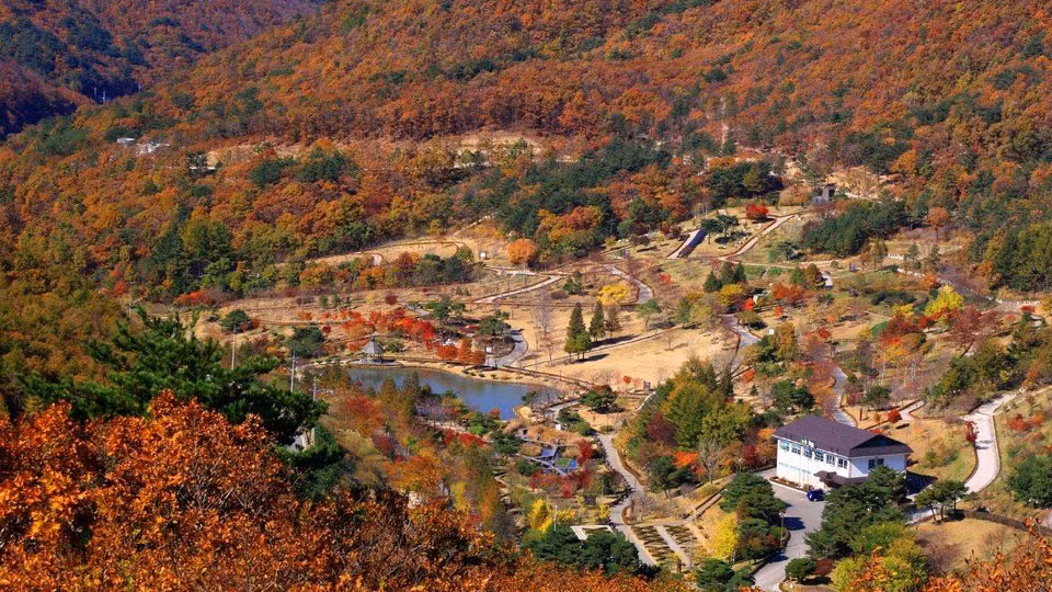 Cảnh quan tỉnh Gyeongsangbuk-do.