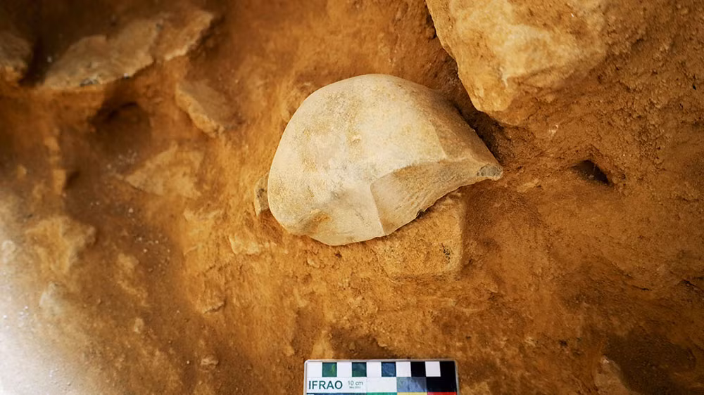 Hạch cuội có vết chế tác.