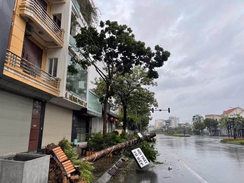 Nhiều cây xanh bật gốc, gãy đổ trên đường phố Nam Định. (Ảnh: Xuân Trường)