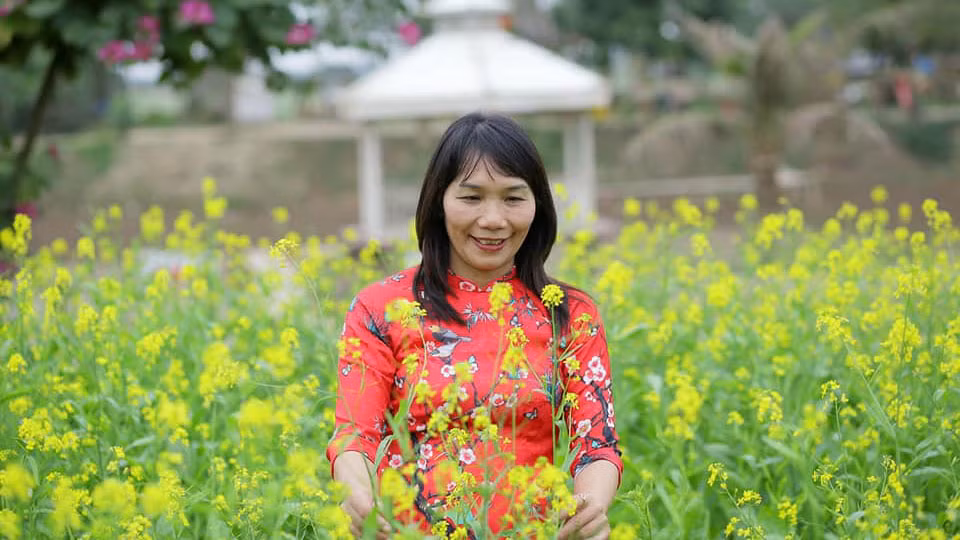 Tác giả Nguyễn Khoa Diệu Hà.