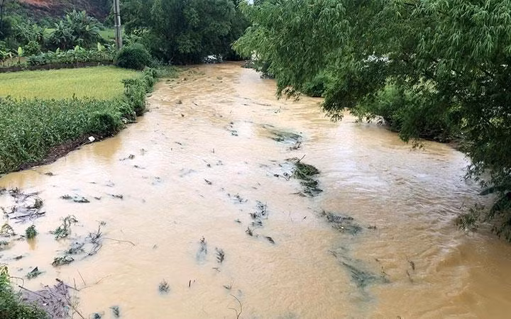 Nhiều diện tích lúa và hoa màu bị ngập úng.