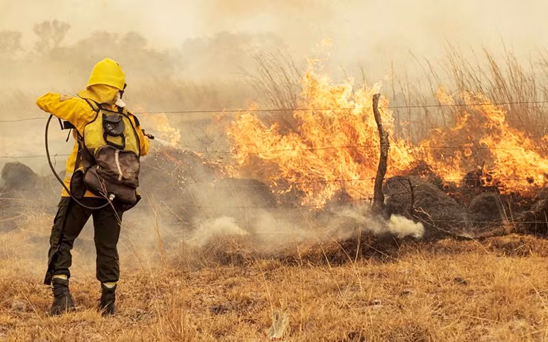 Cháy rừng do thời tiết khô hạn tại Argentina. (Ảnh REUTERS)