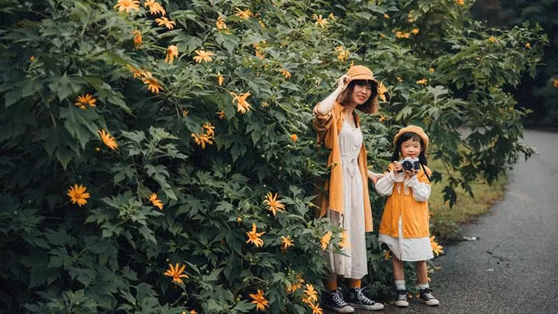 Hà Nội sẽ đẩy mạnh khai thác du lịch tại vùng núi Ba Vì trong thời gian tới.