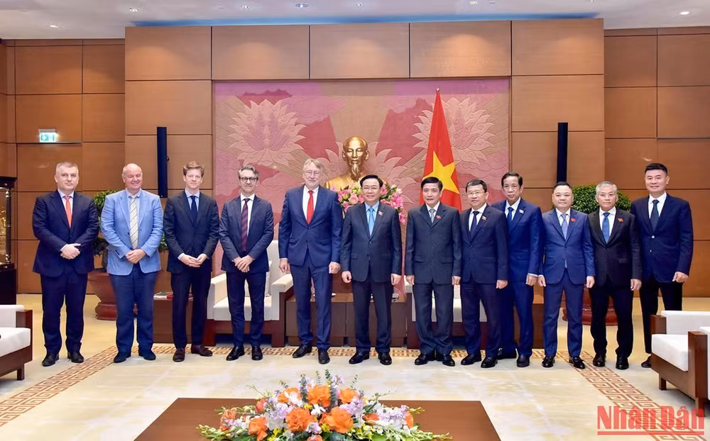 Chủ tịch Quốc hội tiếp Chủ tịch Ủy ban Thương mại Quốc tế, Nghị viện Châu Âu ảnh 7
