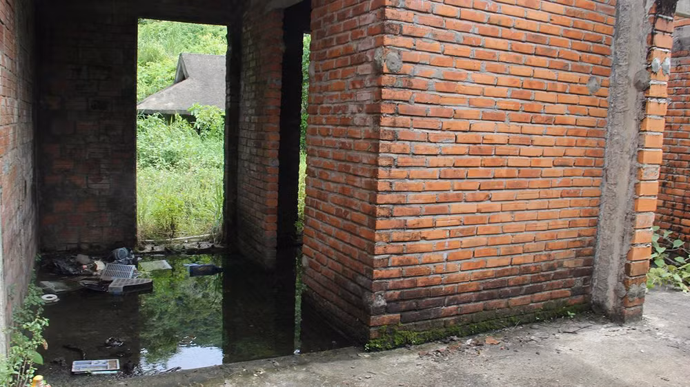 Cận cảnh loạt biệt thự bỏ hoang trên bán đảo Sơn Trà ảnh 2