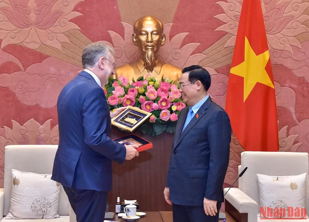 Chủ tịch Quốc hội tiếp Chủ tịch Ủy ban Thương mại Quốc tế, Nghị viện Châu Âu ảnh 6