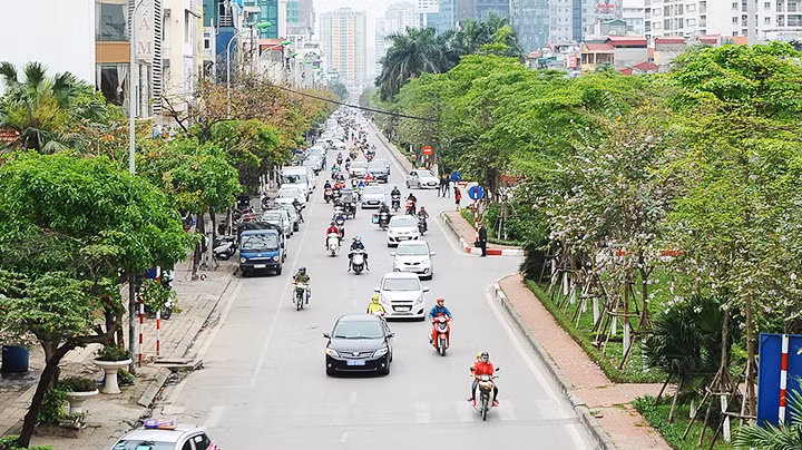 Trồng mới nhiều cây xanh đô thị