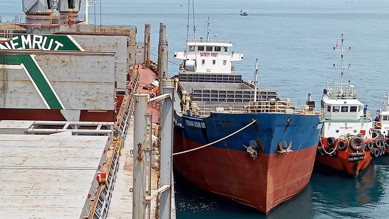Chuyển tải hàng từ tàu Nemrut Bay bị mắc cạn sang tàu hàng hạ tải.