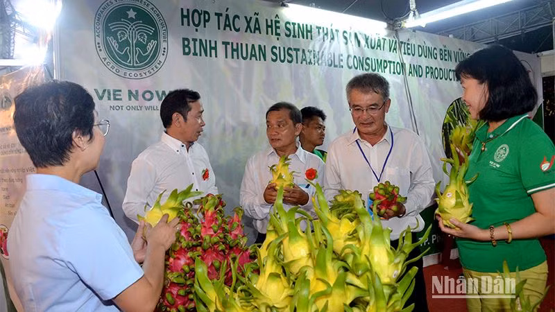 Thanh long là sản phẩm chủ lực, đặc trưng của tỉnh Bình Thuận được trưng bày giới thiệu tại Hội chợ. (Ảnh: Đình Châu)