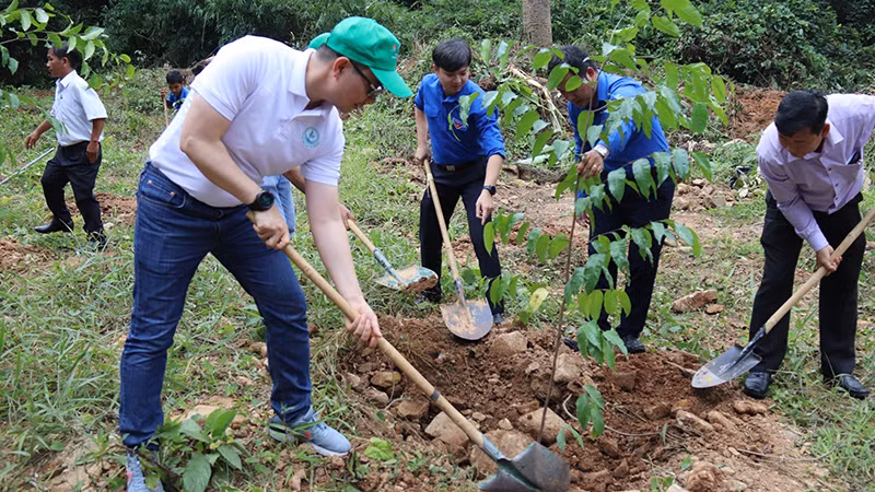 Các đại biểu trồng cây xanh tại Khu di tích căn cứ Tỉnh ủy Bình Thuận thuộc khu vực rừng đầu nguồn ở xã Đông Giang, huyện Hàm Thuận Bắc. (Ảnh: Phú Hà)