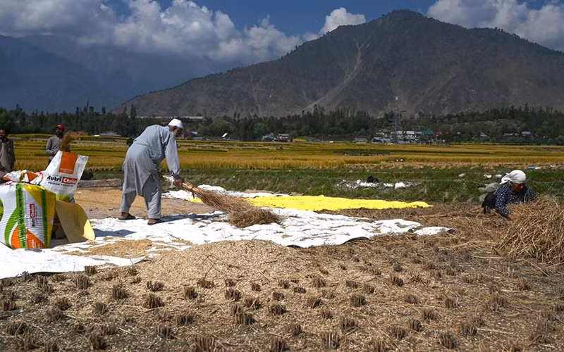 Nông dân Ấn Ðộ trên một cánh đồng. (Ảnh Middle East Eye) 