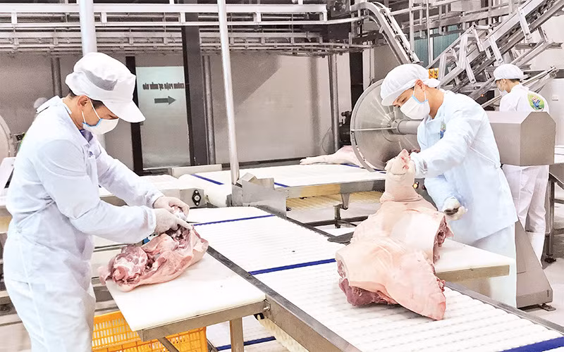 Cơ sở giết mổ gia súc hiện đại tại xã Vạn Phúc, huyện Thanh Trì. 