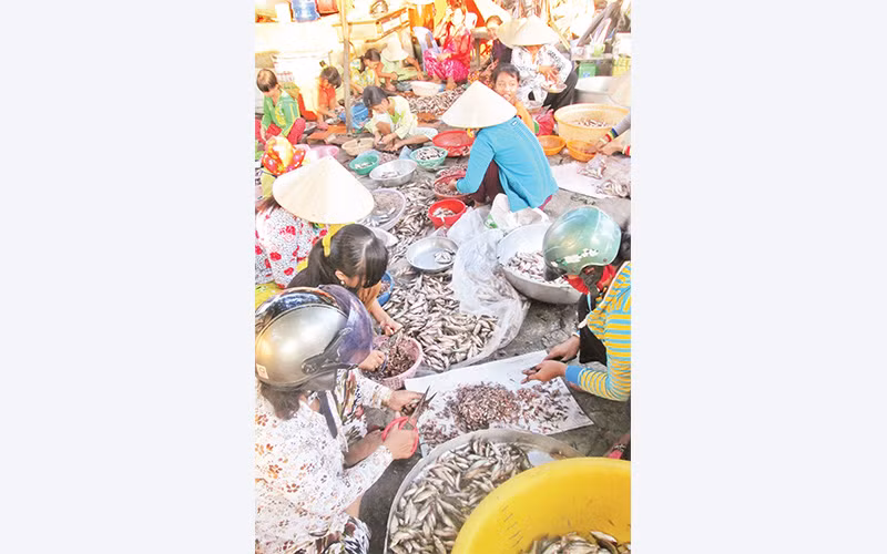 Nghề khai thác thủy sản tự nhiên giúp cho nhiều người dân ở An Giang có thu nhập. 