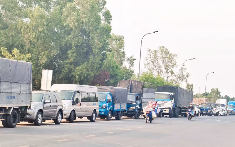 Dòng phương tiện từ địa phương khác đến Ðồng Tháp chờ đăng kiểm.