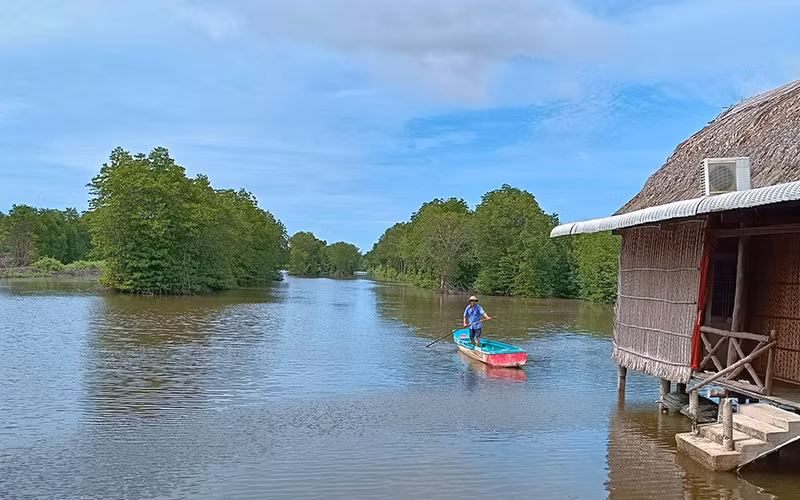 Một góc rừng ngập mặn Mũi Cà Mau.