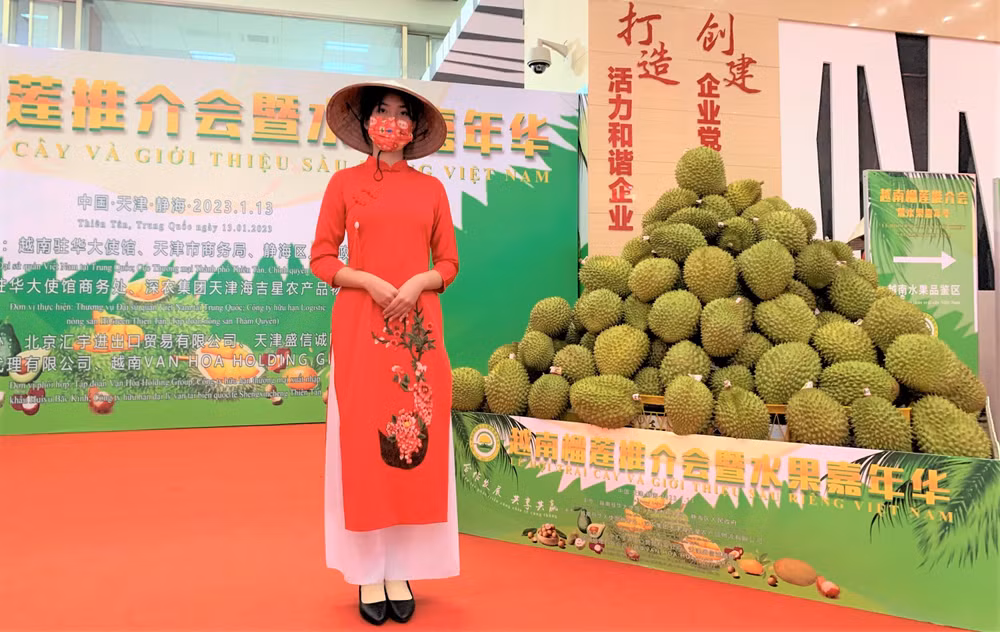 Sầu riêng Việt Nam tại một sự kiện quảng bá tại thành phố Thiên Tân, Trung Quốc. (Ảnh: HỮU HƯNG)