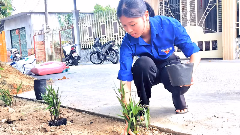 Em Lâm Nguyễn Việt Uyên tham gia trồng cây xanh tại thành phố Sa Đéc nhân Tháng Thanh niên. (Ảnh: TRUNG THÀNH)